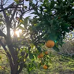 Quinta Samor
