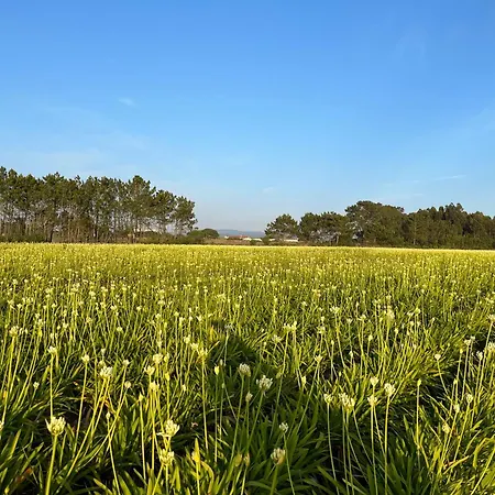 בית כפרי Quinta Samor *