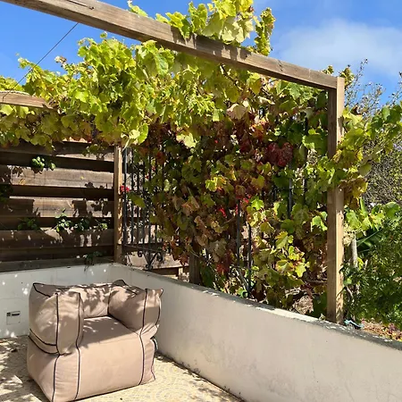 Quinta Samor Country house