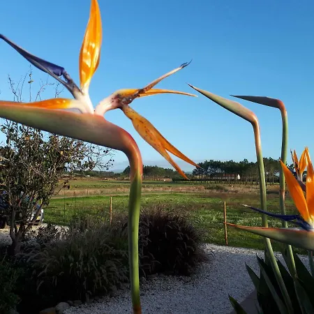 Quinta Samor Country house