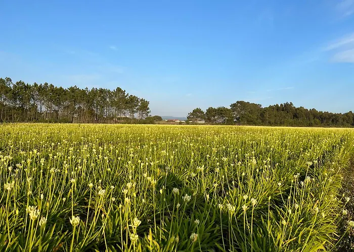 בית כפרי Quinta Samor *