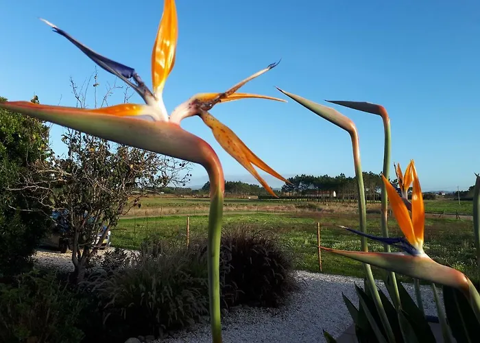 Quinta Samor בית כפרי